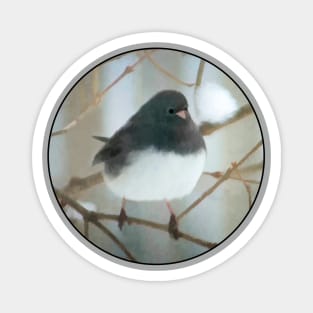 Dark-Eyed Junco Watercolor Magnet